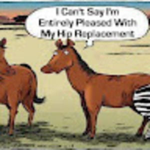 Meet your Posher, Karla